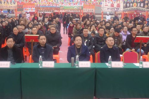 四川精品文化藝術(shù)進(jìn)閬中，千年古城再綻文藝新彩